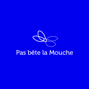 Pas bête la Mouche